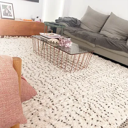 photoclient-living-room-cozy-berber-rug